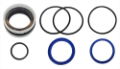 Seals Internal Standard Ram (L80887)