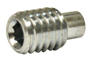 MS Screw Grub SKT M6 X10mm Dog Point S/S