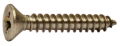 Screw S/TP CSK Pozi 4.2 x 25AB Stn S